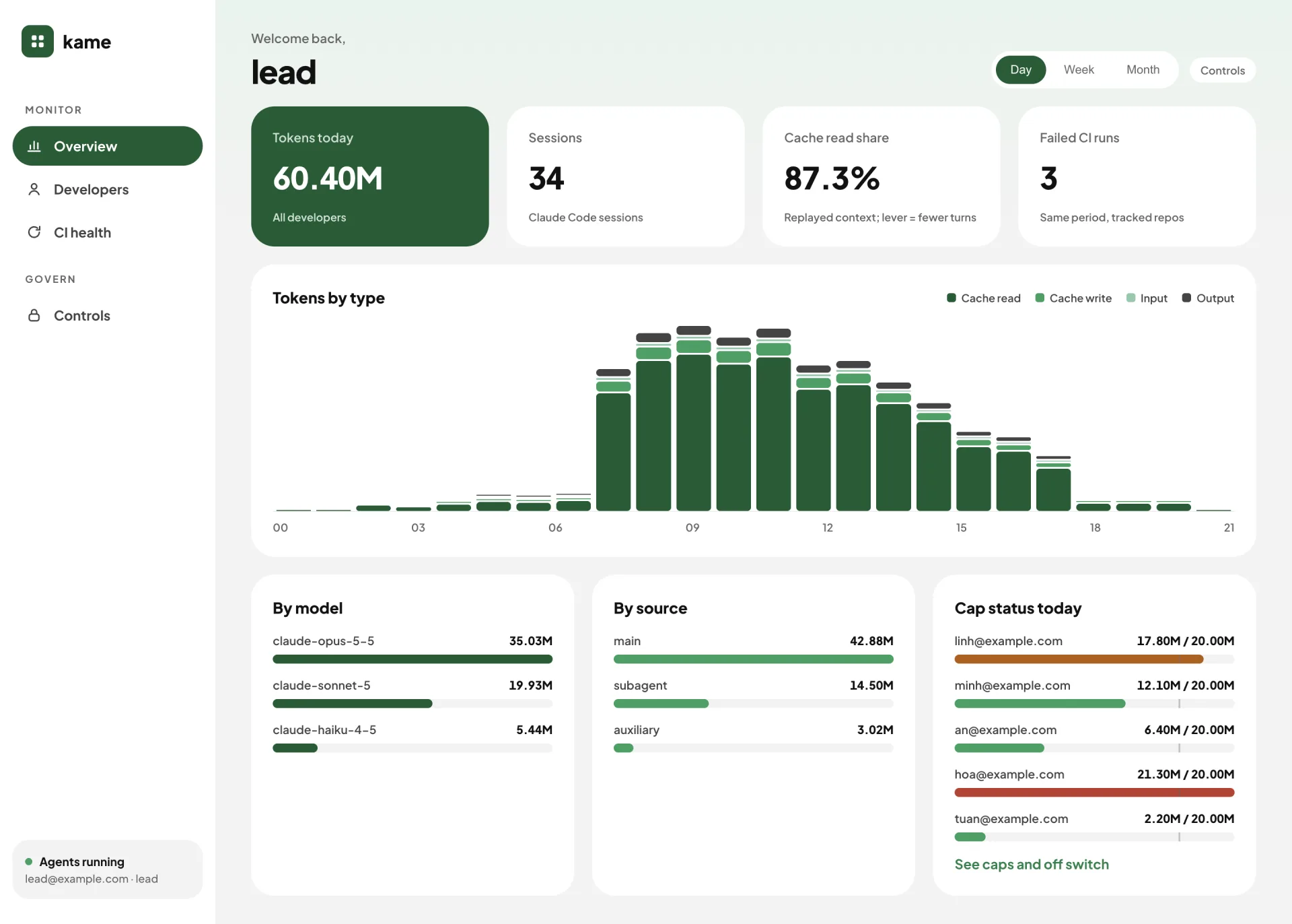 kame overview: tokens today, sessions, cache read share, failed CI runs, tokens by type per hour, by model, by source, cap status